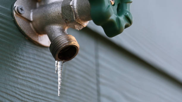 Best Local Plumber Services  in Golden Shores, AZ